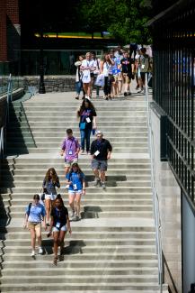 Students walking down steps at Gatton Student Center for orientation
