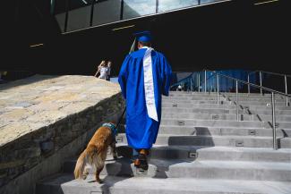 Student walking up steps at graduation with service animal