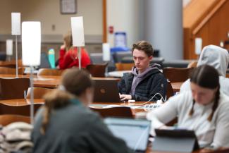 Students working and studying